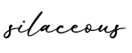 单词silaceous书写