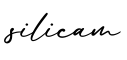 单词silicam书写