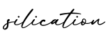 单词silication书写