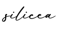 单词silicea书写