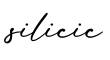 单词silicic书写