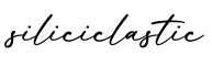 单词siliciclastic书写