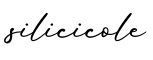 单词silicicole书写