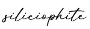单词siliciophite书写