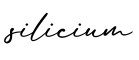单词silicium书写