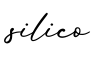 单词silico书写