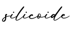 单词silicoide书写