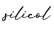 单词silicol书写