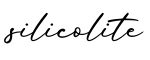 单词silicolite书写