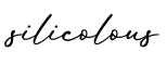 单词silicolous书写