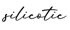 单词silicotic书写