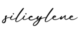 单词silicylene书写
