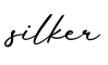 单词silker书写