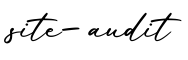 单词site-audit书写