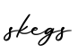 单词skegs书写