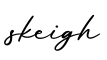 单词skeigh书写