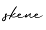 单词skene书写