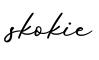 单词skokie书写