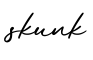 单词skunk书写