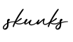 单词skunks书写