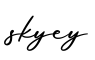 单词skyey书写