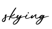 单词skying书写