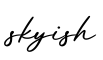 单词skyish书写