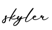 单词skyler书写