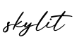 单词skylit书写