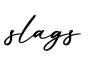 单词slags书写