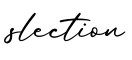 单词slection书写