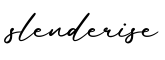 单词slenderise书写
