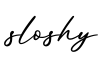 单词sloshy书写