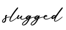单词slugged书写