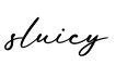 单词sluicy书写
