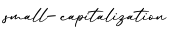单词small-capitalization书写