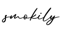 单词smokily书写