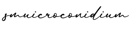 单词smuicroconidium书写