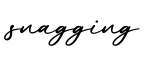 单词snagging书写