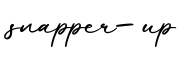 单词snapper-up书写