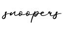 单词snoopers书写