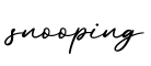 单词snooping书写