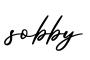 单词sobby书写