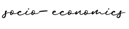 单词socio-economics书写