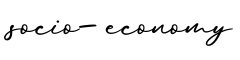单词socio-economy书写