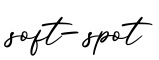 单词soft-spot书写