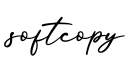 单词softcopy书写