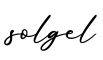 单词solgel书写