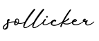 单词sollicker书写