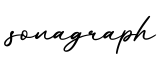 单词sonagraph书写